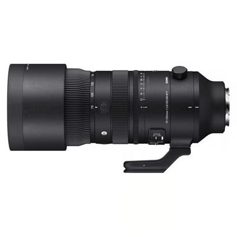 Sigma 591965