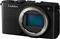 Panasonic S9 DC-S9 – kuva 2