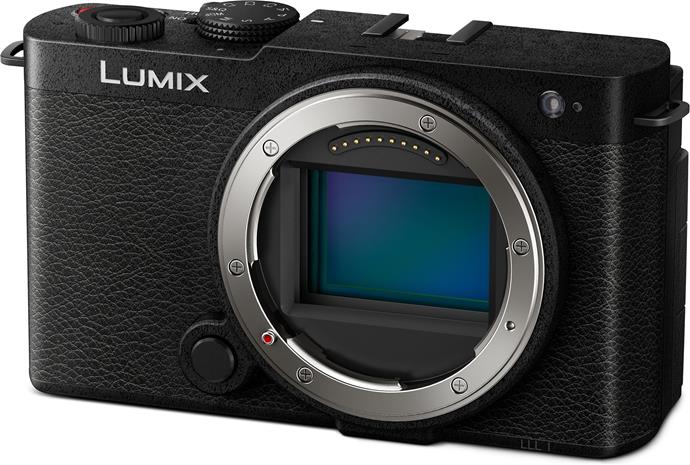 Panasonic S9 DC-S9