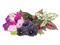 Click & Grow Smart Garden 9-pack refill – kuva 2