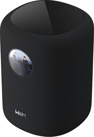 WiiM Sound - Smart Speaker - Black