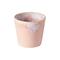 Costa Nova - Gres Kuppi 21 cl 8x7,5 cm Vaaleanpunainen – kuva 6