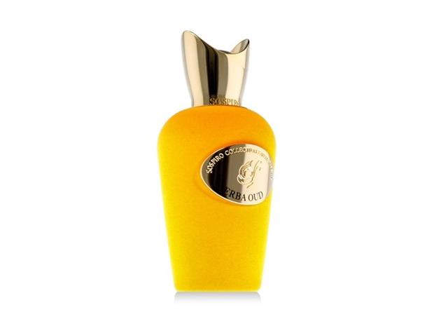 Erba Oud Eau de Parfum Spray 100ml