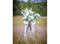 Bloomingville Orchid – kuva 5