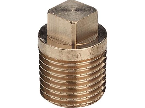 Viega plug 2