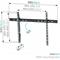 Mount Massive MNT 302 - Max 100 kg - recommended for 62" – kuva 2