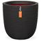 Kulblomkruka - CAPI EUROPE - RIB NL - 43 x 41 cm - Svart – kuva 3