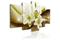Kuva - Modern Liliy – kuva 3