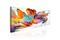 Kuva - Colourful Cyclone – kuva 4