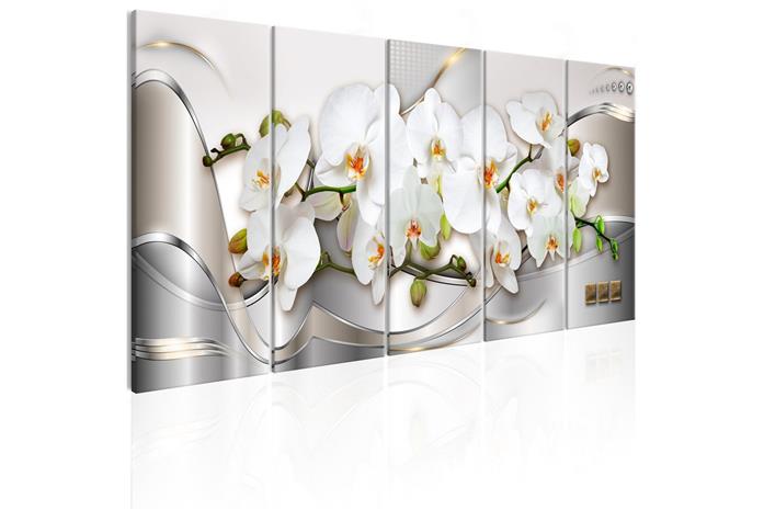 Kuva - Blooming Orchids