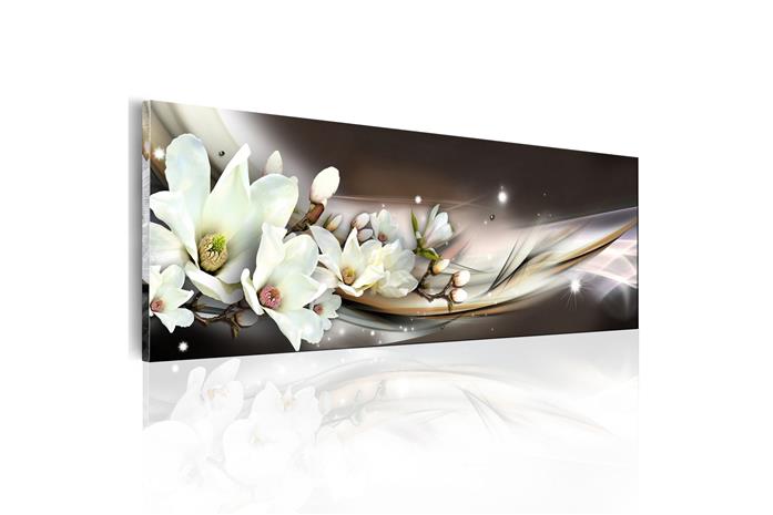 Kuva - Touch of softness