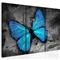 Kuva - The study of butterfly - triptych – kuva 3