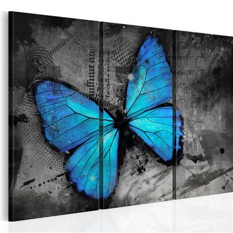Kuva - The study of butterfly - triptych