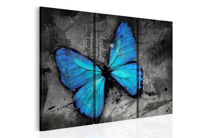 Kuva - The study of butterfly - triptych