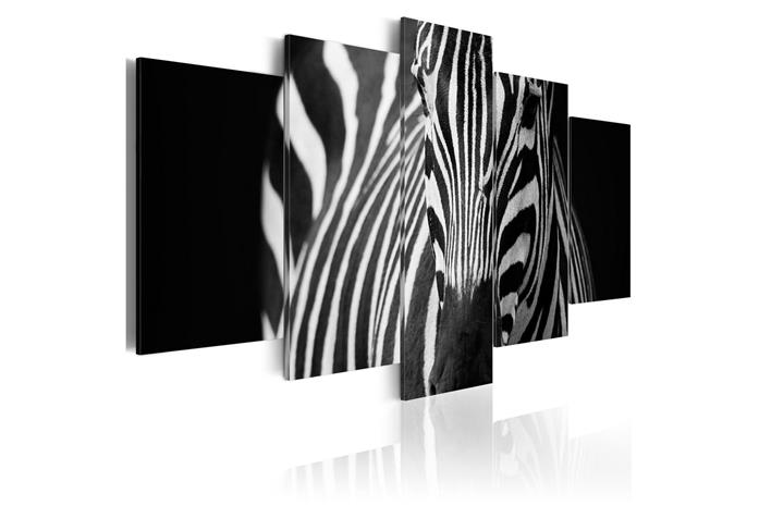 Kuva - Zebra look