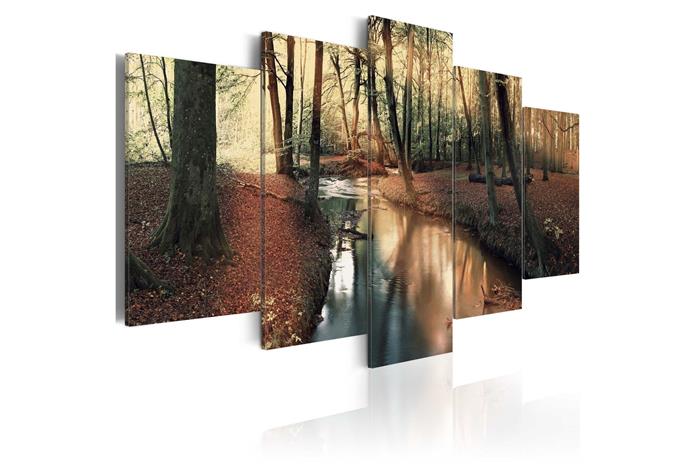 Kuva - Brown autumn: forest