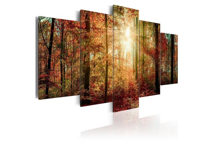 Kuva - Autumn Wilderness