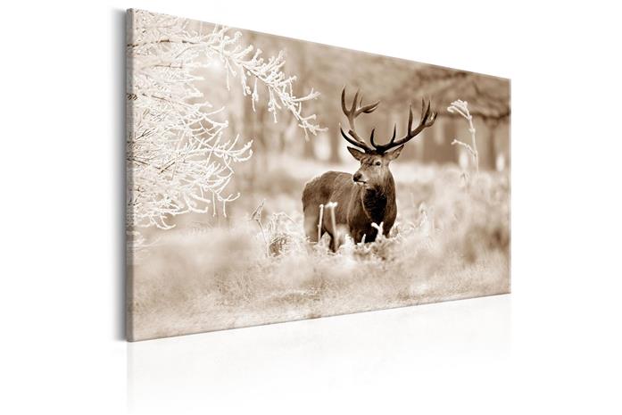 Kuva - Deer in Sepia