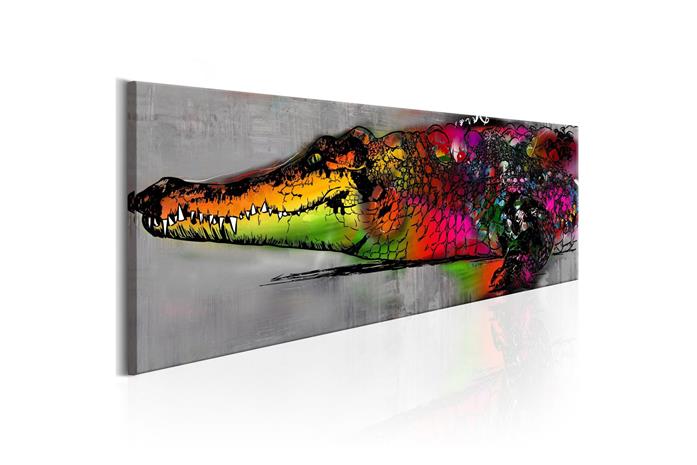 Kuva - Colourful Alligator
