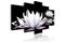 Kuva - Passing beauty – kuva 3