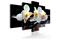 Kuva - Orchids with orange accent – kuva 3