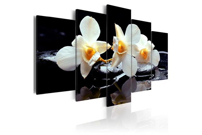 Kuva - Orchids with orange accent