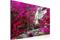 Kuva - Beautiful Waterfall: Pink Forest – kuva 3