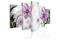 Kuva - Saucy flowers – kuva 3