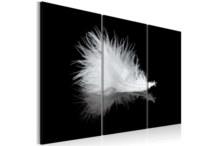 Kuva - A small feather