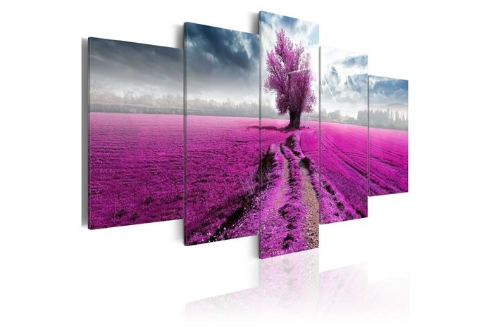 Kuva - Purple Land