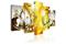 Kuva - Yellow Admiration – kuva 3