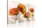 Kuva - Artistic poppies - triptych – kuva 4