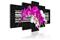 Kuva - Modest orchids – kuva 2
