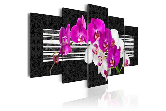 Kuva - Modest orchids