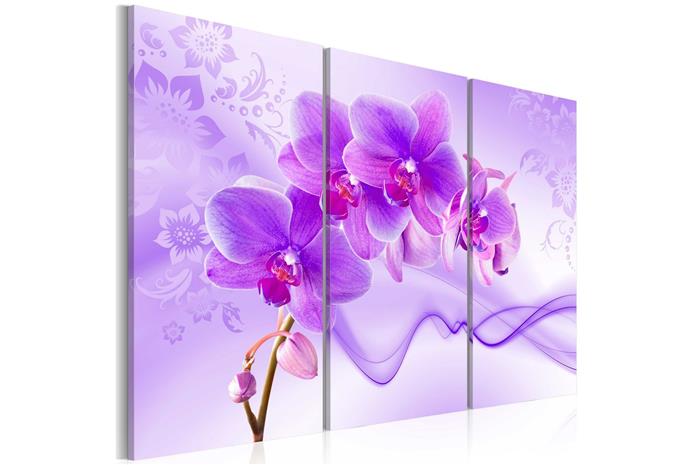Kuva - Ethereal orchid - violet