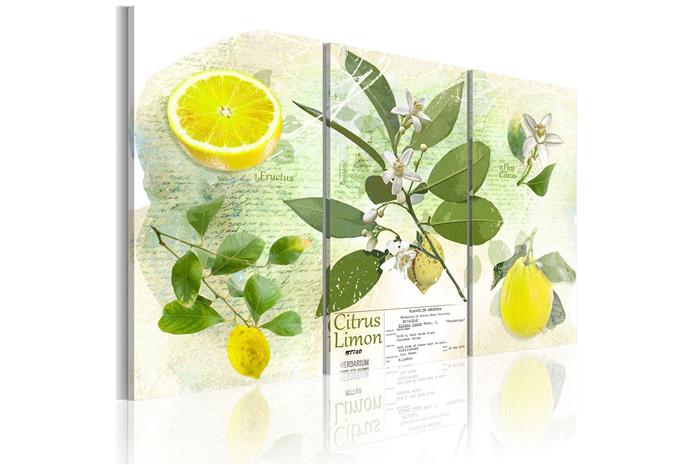 Kuva - Fruit: lemon