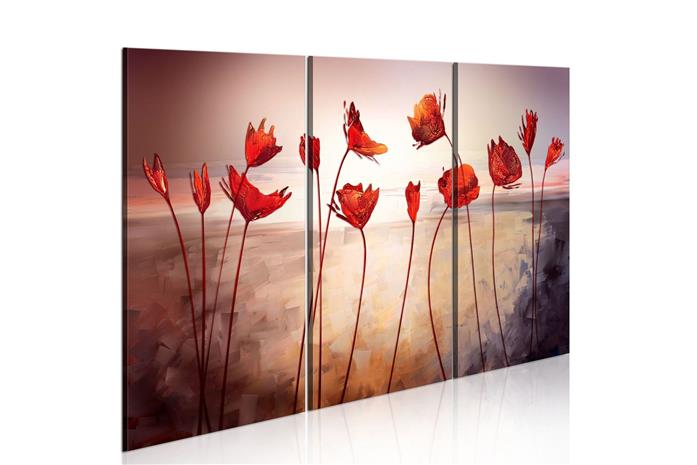 Kuva - Bright red poppies