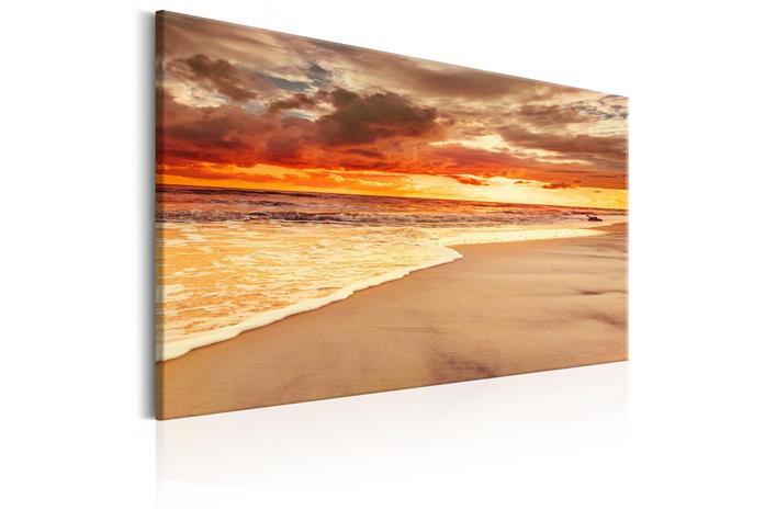 Kuva - Beach: Beatiful Sunset II
