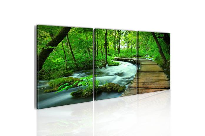 Kuva - Forest broadwalk - triptych – kuva 3/3