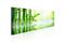 Kuva - Green Bamboo – kuva 6