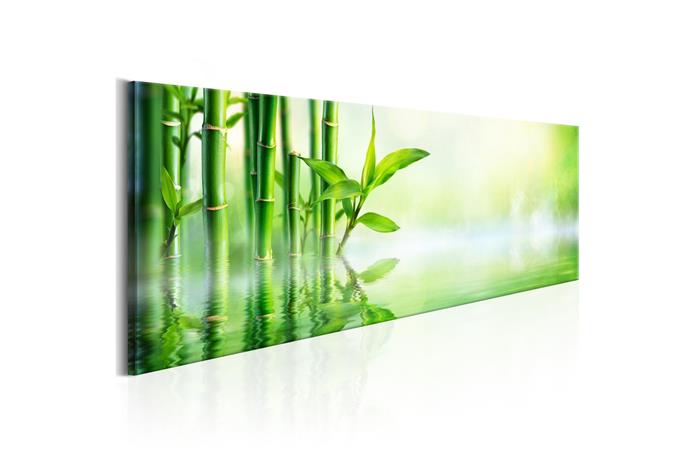 Kuva - Green Bamboo