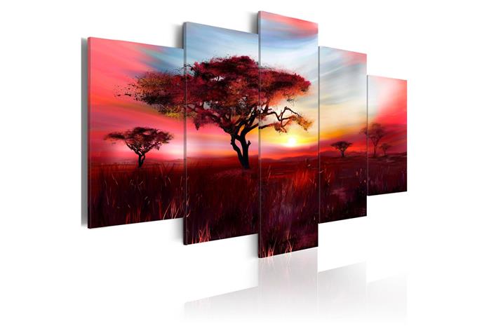 Kuva - Wild savannah – kuva 2/2