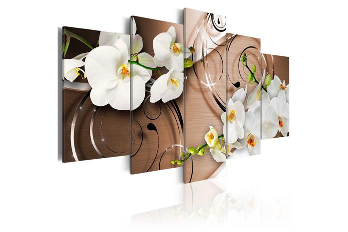 Kuva - Ivory orchids