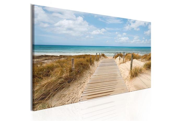 Kuva - Windy Beach