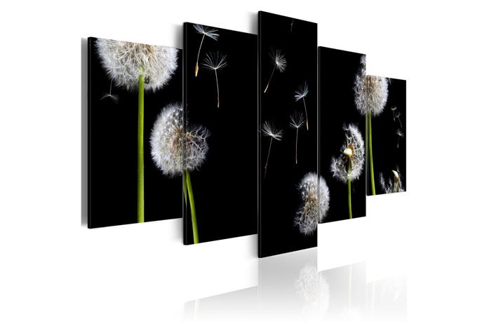 Kuva - Dandelion- towards freedom