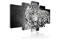 Kuva - Leopard - black&white – kuva 2