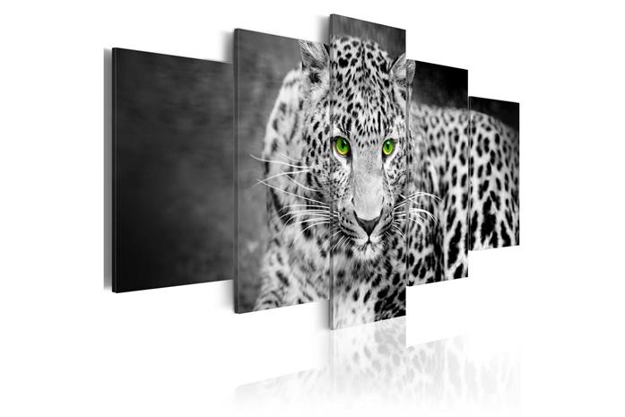 Kuva - Leopard - black&white