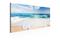 Kuva - Beach on Captiva Island – kuva 3