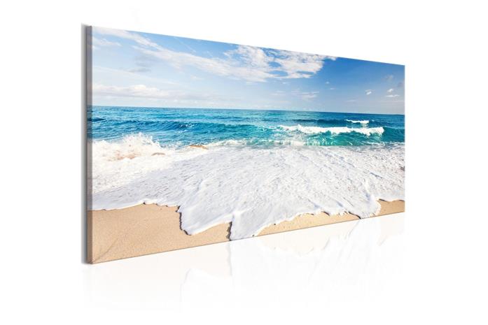 Kuva - Beach on Captiva Island – kuva 3/3