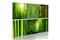 Kuva - Bamboo has many faces – kuva 3
